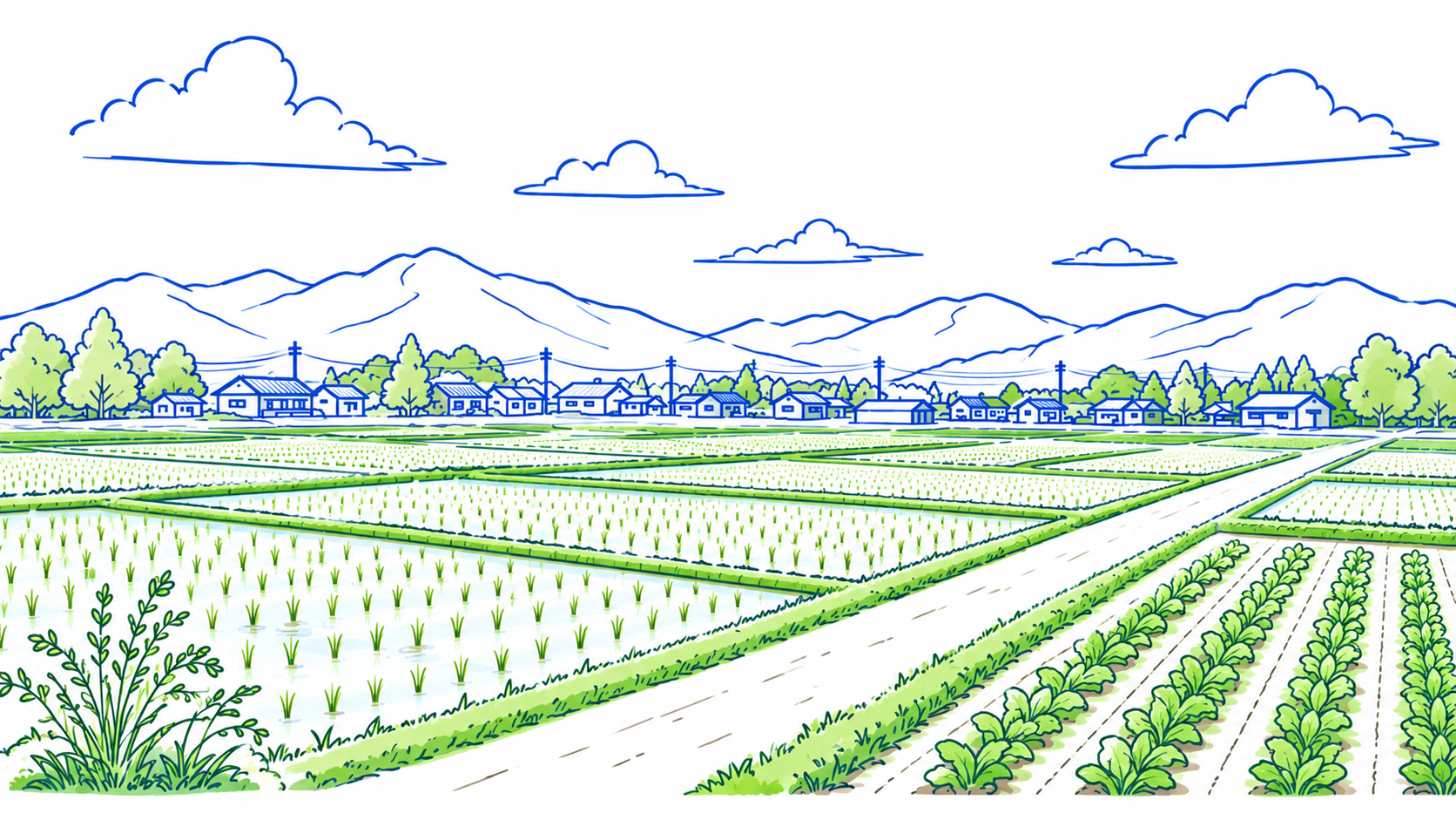農地と住宅地の風景